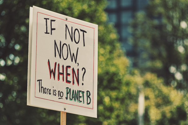 a sign on a stick reads if not now, when? there is no planet b in from of some trees